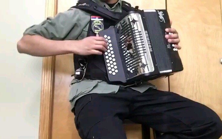 Mlada Srpska Garda - Roki Vulovic - (手风琴)